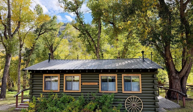 TATA River Cabin: Buena Vista Cabin- Relax and Unwind