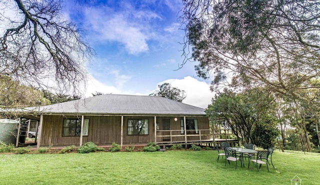 Tavira Summary: PLEAS