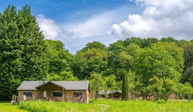 Teal at Exton park, Rutland