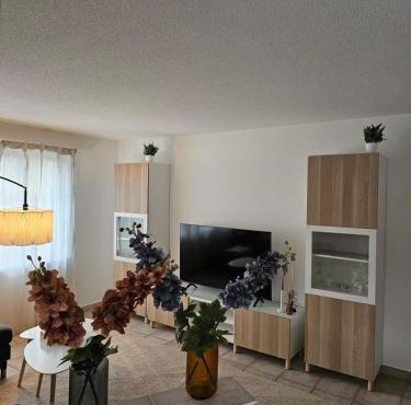 Tegerfelden Weinregion