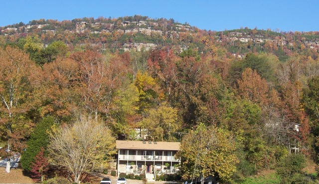 Tennessee River Bed and Breakfast Retreat! Lakefront! No Fees!