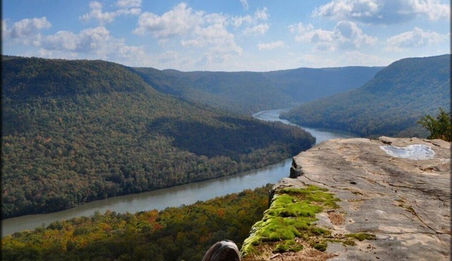 Tennessee River Gorge® Island Cabin Pool, Stay 3 nights 4th Free!