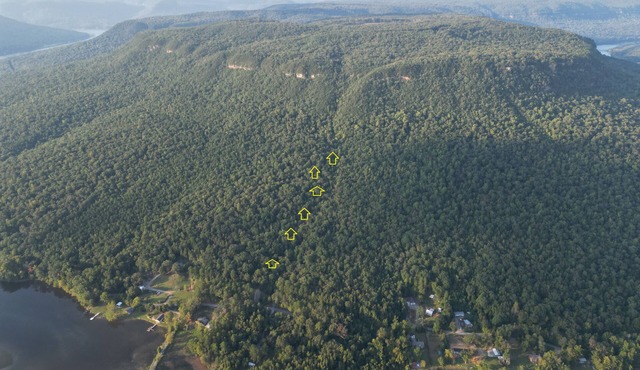 Tennessee River Gorge® Mt. #2 Treehouse "Amish Built"