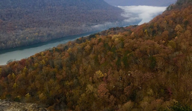 Tennessee's Grand Canyon! 10 Min From Downtown Chattanooga!