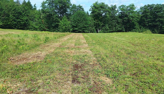 Tent camping sites in the country