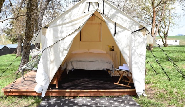 Tent Platform 4 | Pond View Glamping Tent