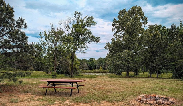 Tent Site #2 Near Pond at Ouachita Campground at Edendell