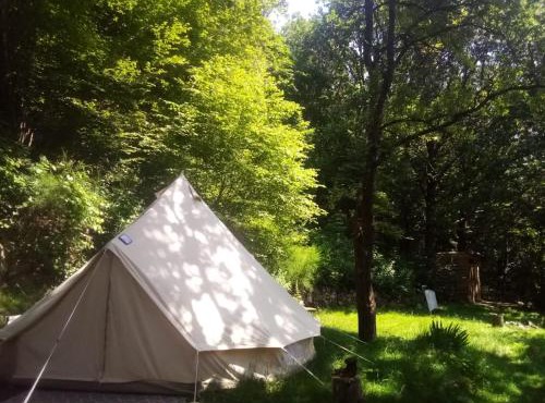 Tente Tipi en plein cœur d'une forêt