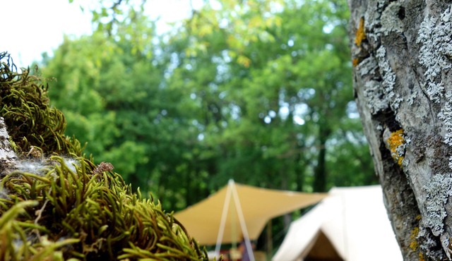 Tentes Lodges Atypik Nomad