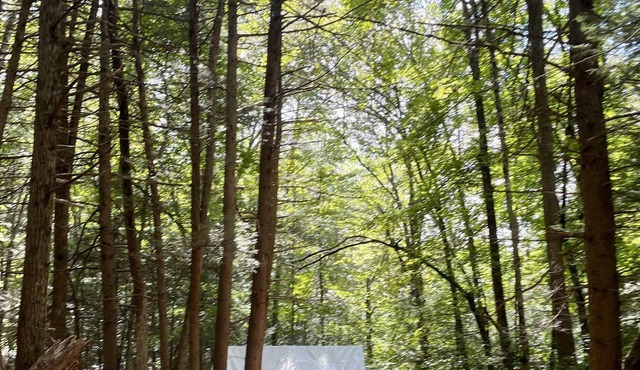 Tentrr Signature Site - Secluded Streamside Camp 90 miles from NYC