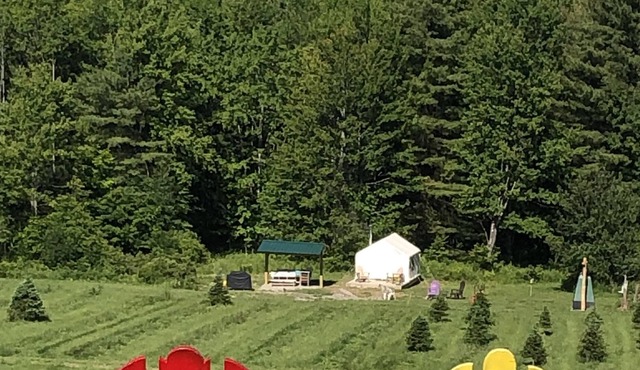 Tentrr Signature Site - High Meadow Tree Farm