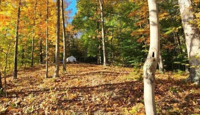 Tentrr Signature Site - Shangri-La