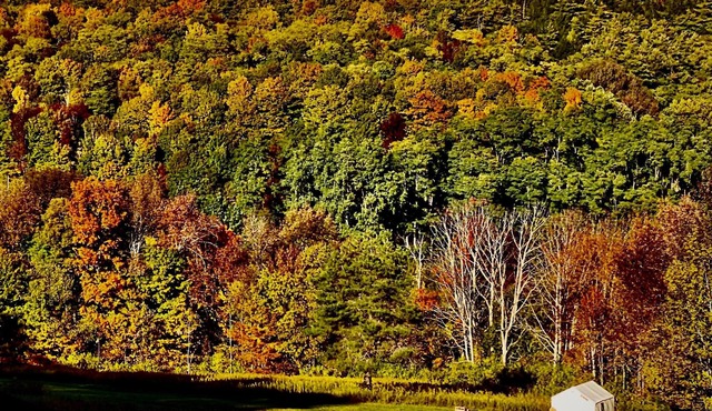 Tentrr Signature Site - Fenimore Slope