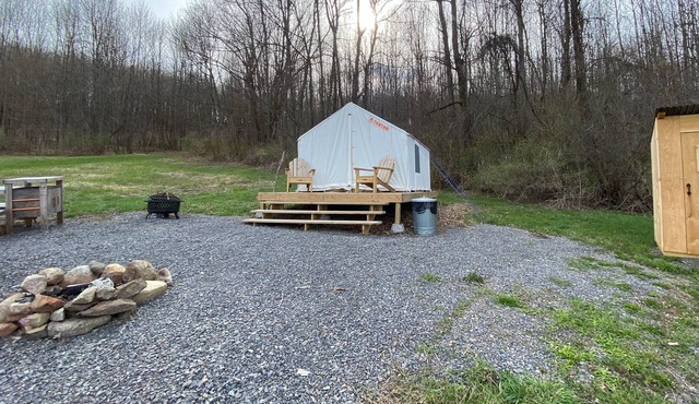 Tentrr Signature Site - Mt Otsego Sunrise Meadow