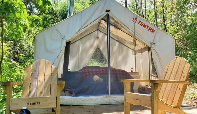 Tentrr Signature Site - Beerocracy Colonial Camp