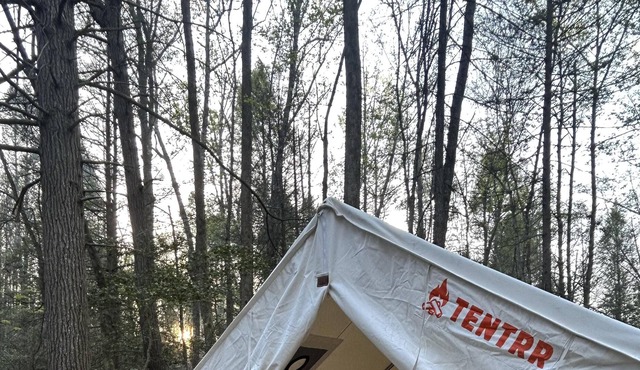 Tentrr Signature Site - The Old Woodyard