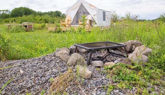 Tentrr Signature Site - Newtown Pippin