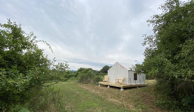 Tentrr Signature Site - Orchard Tent Esopus
