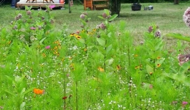 Tentrr Signature Site - Shepherd's Meadow