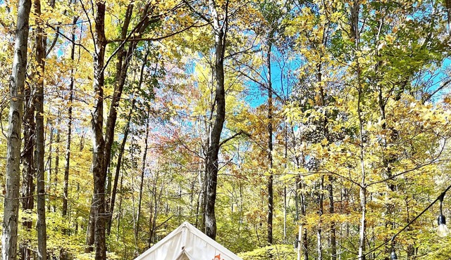 Tentrr Signature Site - Retreat East Co, The Forest Experience