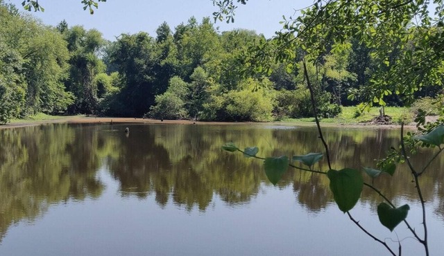 Tentrr Signature Site - Meadow Escape at CATHIS Farm