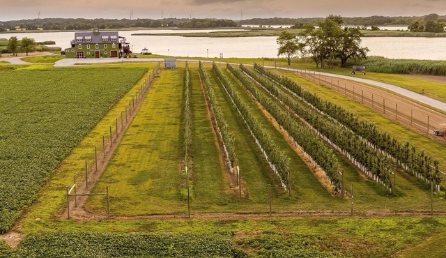 Tentrr Signature Site - Thousand Acre Farm Waterfront Farm