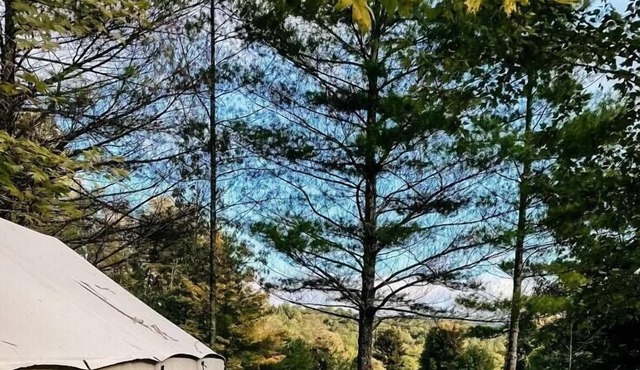 Tentrr Signature Site - Piney Pond Retreat at Tuckaway Tree Farm