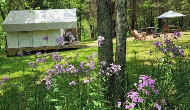 Tentrr Signature Site - Evensong Farm - Wineberry - Coleman Outfitted Site