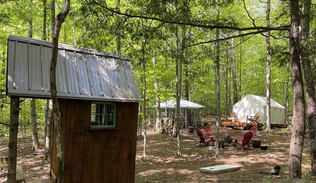 Tentrr Signature Site - Black Snout