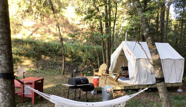 Tentrr Signature Site - WineDrops Creekside Camping #1 / McFarland Nights