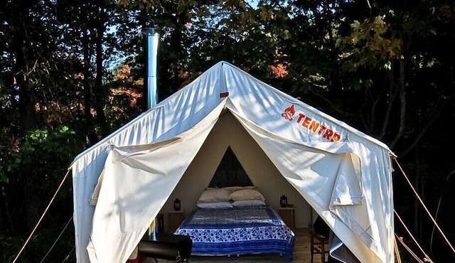 Tentrr Signature Site - Pasture Paradise Camp at Parkwood Farm