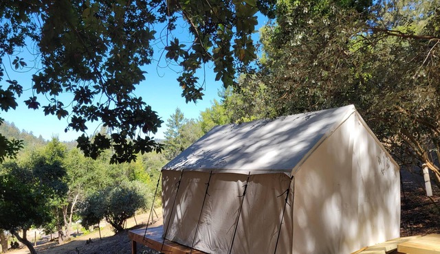 Tentrr Signature Site - Avocado Grove C