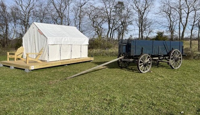 Tentrr Signature Site - Blackwell Wood Farm