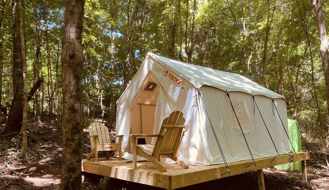 Tentrr Signature Site - Crestview Campsite Three