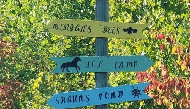 Tentrr Signature Site - Fireflies and a Love Story - Coleman Outfitted Site