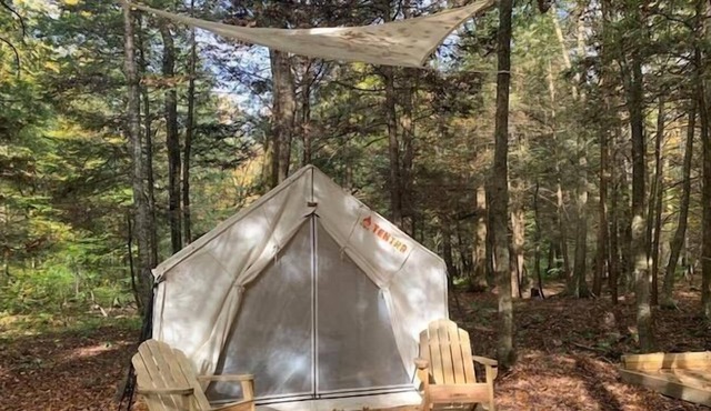 Tentrr Signature Site - Forest Fairy Tale By The Creek