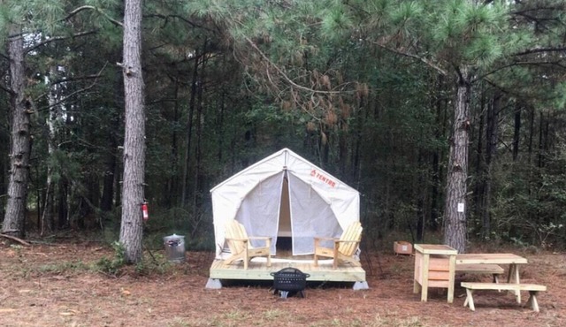 Tentrr Signature Site - HFR Campsite in the Davey Crockett National Forest #1