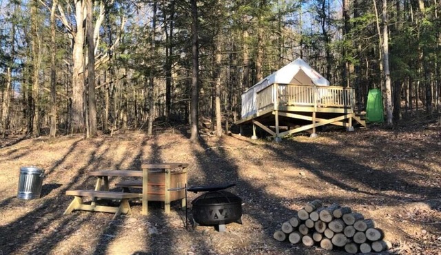 Tentrr Signature Site - Hart of the Woods