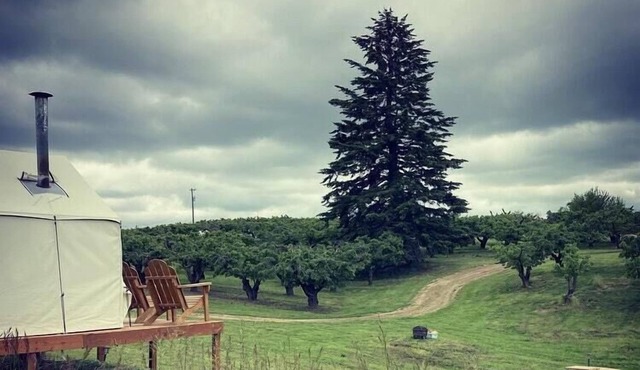 Tentrr Signature Site - Hidden Acres Orchards