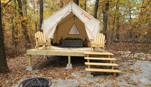 Tentrr Signature Site - Leaning Tree Woods