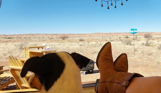 Tentrr Signature Site - Million Stars Campsite in Petrified Forest - Bliss