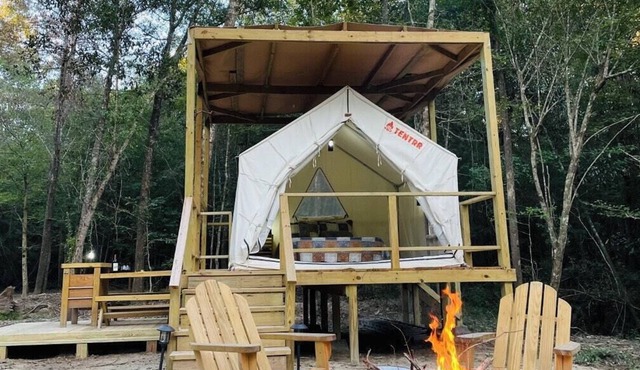 Tentrr Signature Site - Piney Woods Outpost