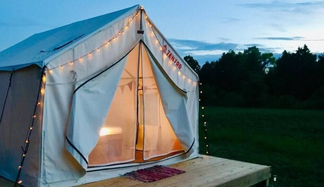Tentrr Signature Site - Seven Oaks Lavender Farm Camp