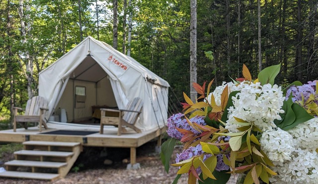Tentrr Signature Site - Switchback @butterhillhideaway