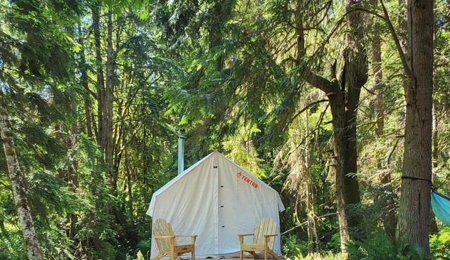 Tentrr Signature Site - Fern Gully Site 1