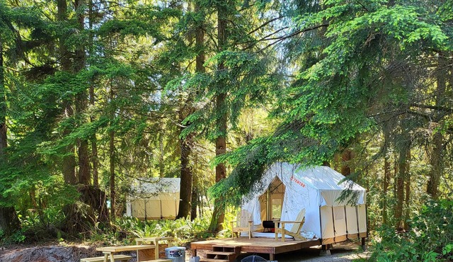 Tentrr Signature Site - Fern Gully Site 2