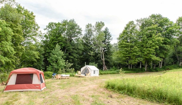 Tentrr Signature Site - Fields of Dreams at Callicoon