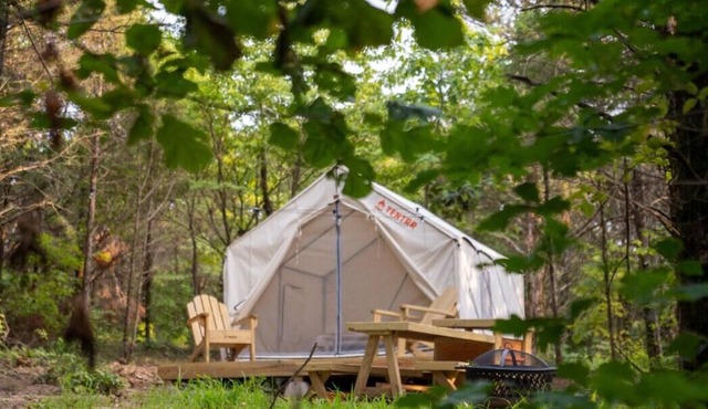 Tentrr Signature Site - Camp on 300 acres with Winery at Idle Acres