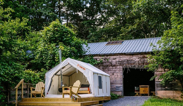 Tentrr Signature Site - The Old Catskill Game Farm Abandoned Zoo: Fido's Viney