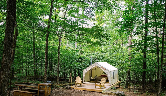 Tentrr Signature Site - The Old Catskill Game Farm Abandoned Zoo: Wooded Site